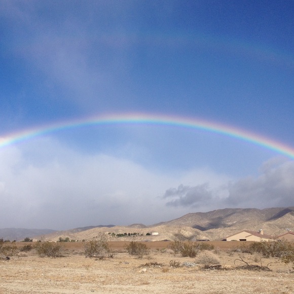 Meet your Posher, Robyn - Picture 2 of 2